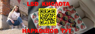 индика Лесосибирск