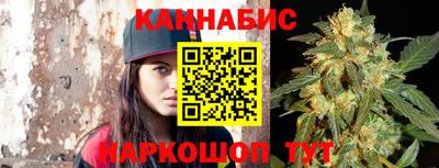индика Лесосибирск