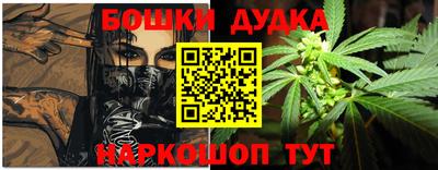 индика Лесосибирск
