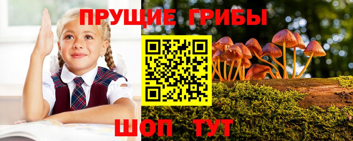 Псилоцибиновые грибы Cubensis  Псилоцибиновые грибы прущие грибы  магазин продажи наркотиков  Вход с VPN  Егорьевск 