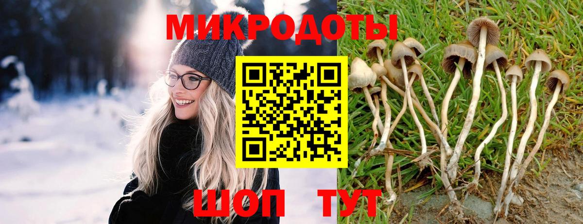 Псилоцибиновые грибы мицелий Егорьевск